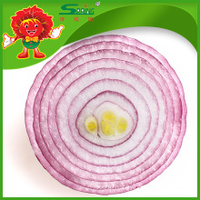 2015 crop fresh red onion in mesh bag onions in bulk